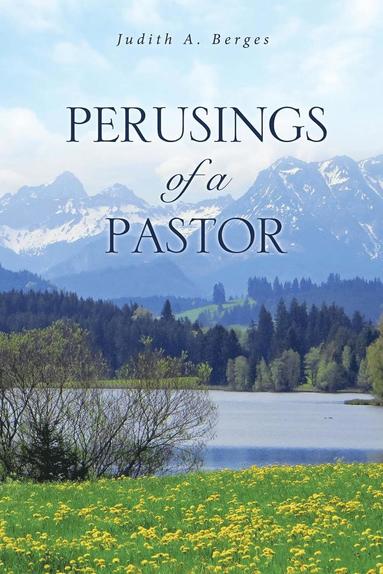 bokomslag Perusings of a Pastor