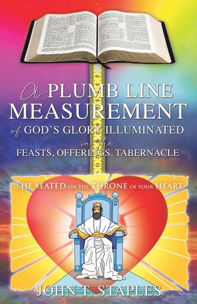 bokomslag Plumb Line Measurement of God's Glory Illuminated in the Feasts, Offerings, Tabernacle