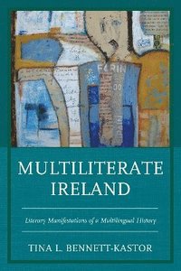bokomslag Multiliterate Ireland