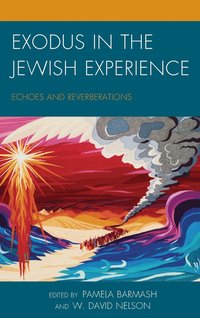 bokomslag Exodus in the Jewish Experience