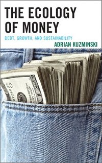 bokomslag The Ecology of Money