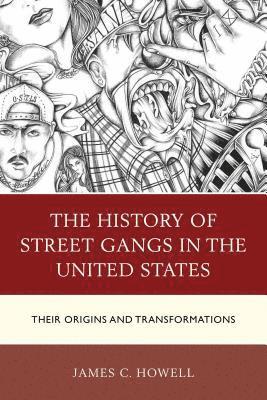 James C. Howell - History of Street Gangs in the United States, Häftad