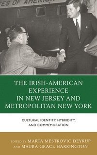 bokomslag The Irish-American Experience in New Jersey and Metropolitan New York