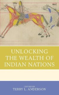 bokomslag Unlocking the Wealth of Indian Nations