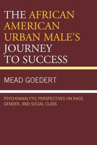 bokomslag African American Urban Male's Journey to Success