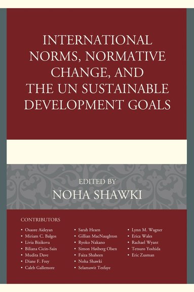 bokomslag International Norms, Normative Change, and the UN Sustainable Development Goals