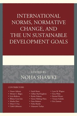 International Norms, Normative Change, and the UN Sustainable Development Goals 1