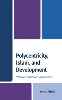 bokomslag Polycentricity, Islam, and Development
