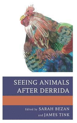 Seeing Animals after Derrida 1