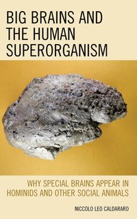 bokomslag Big Brains and the Human Superorganism
