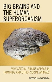 bokomslag Big Brains and the Human Superorganism