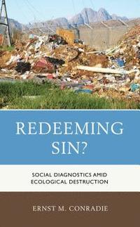 bokomslag Redeeming Sin?