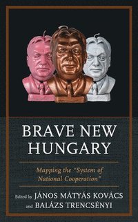 bokomslag Brave New Hungary