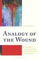 bokomslag Analogy of the Wound