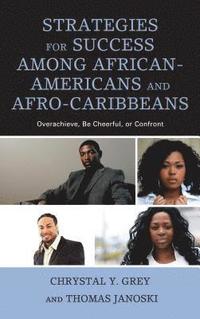 bokomslag Strategies for Success among African-Americans and Afro-Caribbeans