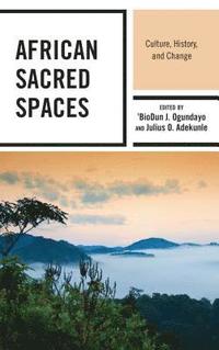 bokomslag African Sacred Spaces