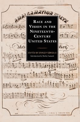 bokomslag Race and Vision in the Nineteenth-Century United States