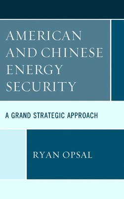 bokomslag American and Chinese Energy Security