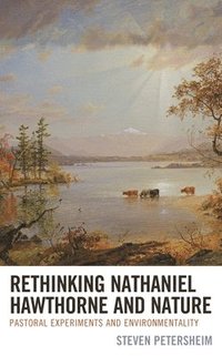 bokomslag Rethinking Nathaniel Hawthorne and Nature