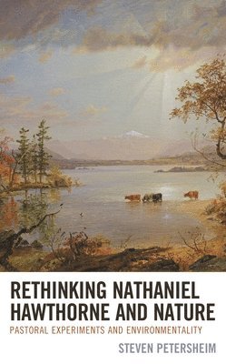 bokomslag Rethinking Nathaniel Hawthorne and Nature