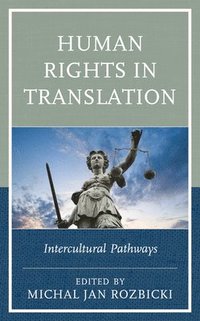 bokomslag Human Rights in Translation