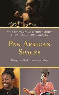 bokomslag Pan African Spaces