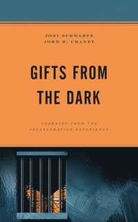 bokomslag Gifts from the Dark