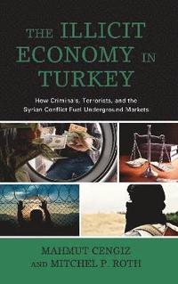 bokomslag The Illicit Economy in Turkey