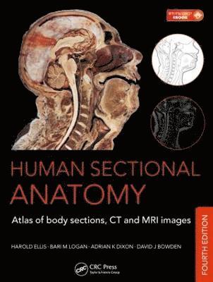 bokomslag Human Sectional Anatomy