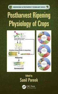 bokomslag Postharvest Ripening Physiology of Crops