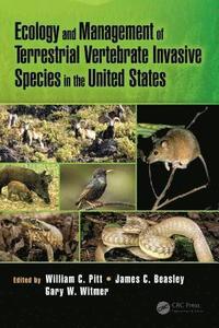 bokomslag Ecology and Management of Terrestrial Vertebrate Invasive Species in the United States
