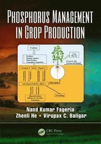 bokomslag Phosphorus Management in Crop Production