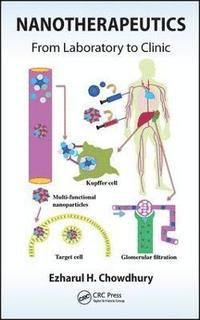 bokomslag Nanotherapeutics