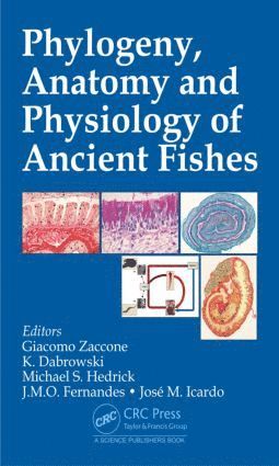 bokomslag Phylogeny, Anatomy and Physiology of Ancient Fishes