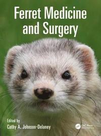 bokomslag Ferret Medicine and Surgery