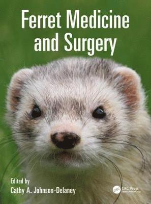 bokomslag Ferret Medicine and Surgery