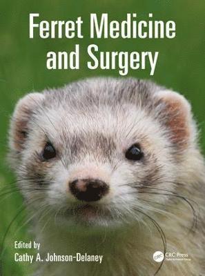 Ferret Medicine and Surgery