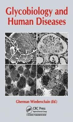 bokomslag Glycobiology and Human Diseases