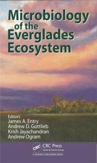 bokomslag Microbiology of the Everglades Ecosystem