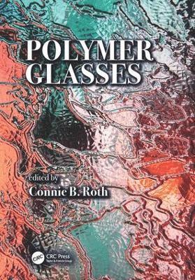 bokomslag Polymer Glasses