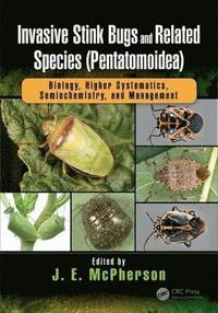 bokomslag Invasive Stink Bugs and Related Species (Pentatomoidea)