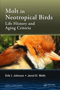bokomslag Molt in Neotropical Birds