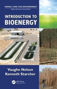 bokomslag Introduction to Bioenergy