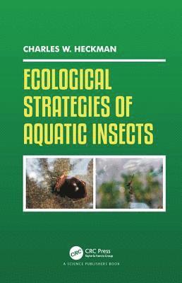 bokomslag Ecological Strategies of Aquatic Insects