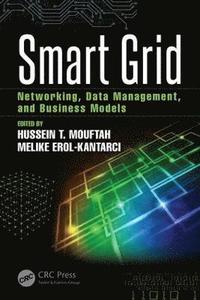 bokomslag Smart Grid