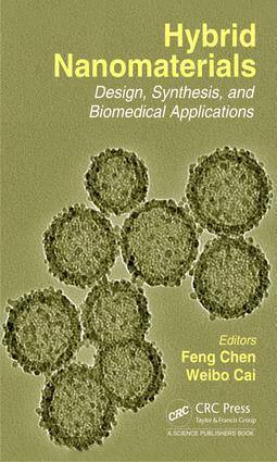 Weibo Cai, Feng Chen - Hybrid Nanomaterials, Inbunden