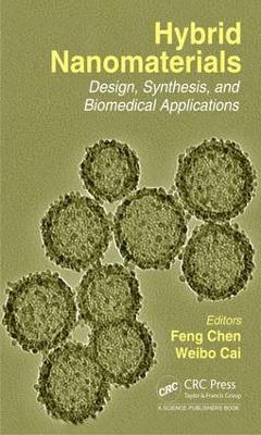 bokomslag Hybrid Nanomaterials