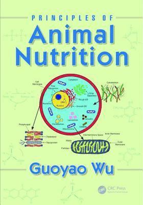Principles of Animal Nutrition 1
