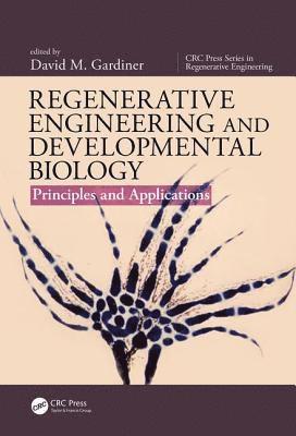 bokomslag Regenerative Engineering and Developmental Biology