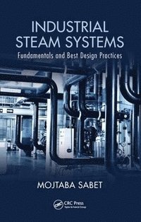 bokomslag Industrial Steam Systems